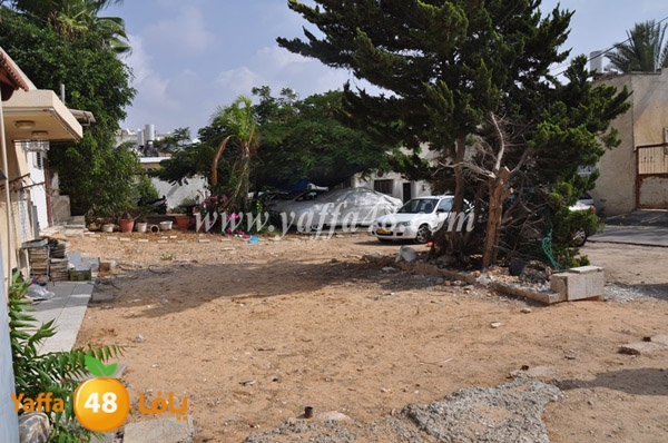 mahmoud abo shmeesh3 (3).JPG